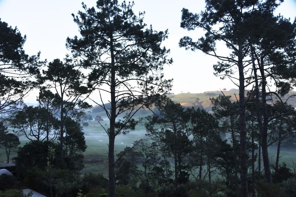 Ponga eco-lodge Hahei Esterno foto